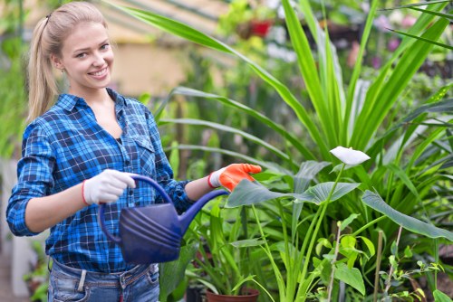 Team of professional gardeners working in a Barking rear garden