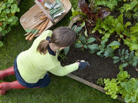 Emotional connection between gardener and plants